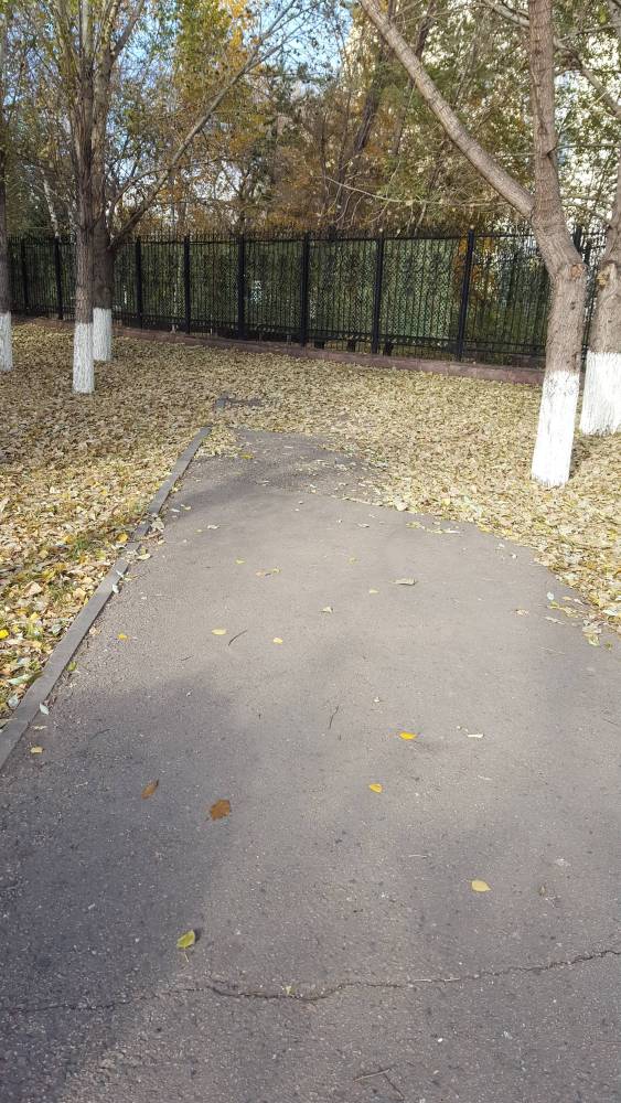 Прошу убрать опавшие листья, которые лежат в несколько слоев. Уже несколько дней не убирают, даже дороги не видно.

Город
