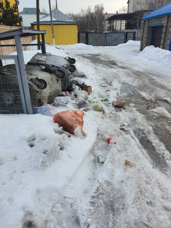 Комунальщики после  частичной уборки снега опрокинули мусорные контейнера и завалили снегом. Уже больше 2 недель мусор скапливается, и разлетается по улице

Дорога