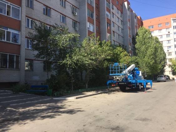 Как можно проверить было ли разрешение на обрезку деревьев и кустов во дворе дома по адресу Кумисбекова 6?
