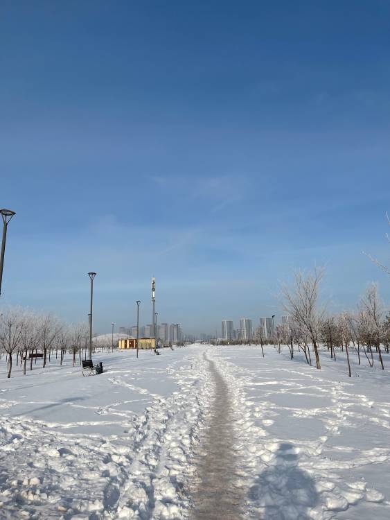 Почистите снег по в ботаническом саду по диагонали от пересечения туркестан-бухар жырау до кабанбай-орынбор 