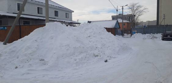 Просим вывести снег с улицы Биримжановтар, юго восток (правая сторона), район алматы

Город