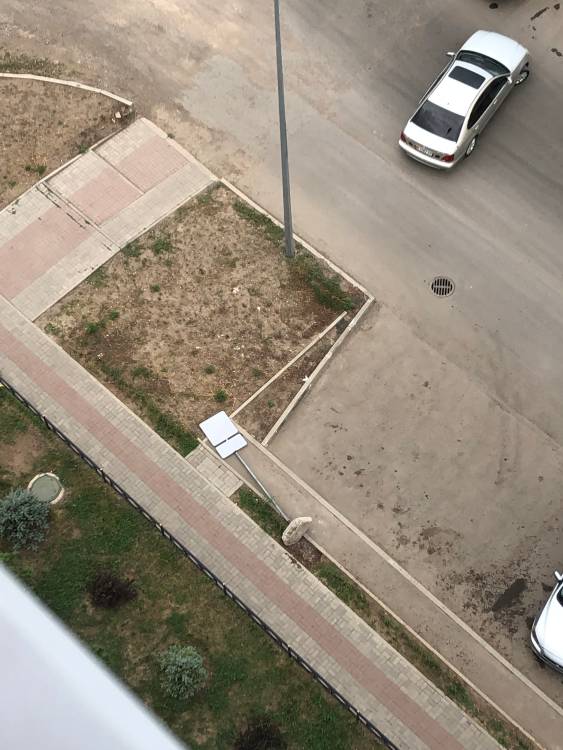 Добрый день!Па адресу Кордай ,85, на пересечении с улицей Тайказан, на парковке от ветра упал знак- «парковка для инвалидов», данный знак не был закопан в землю, установлен не по правилам.Хорошо,что данный знак не упал на машину.