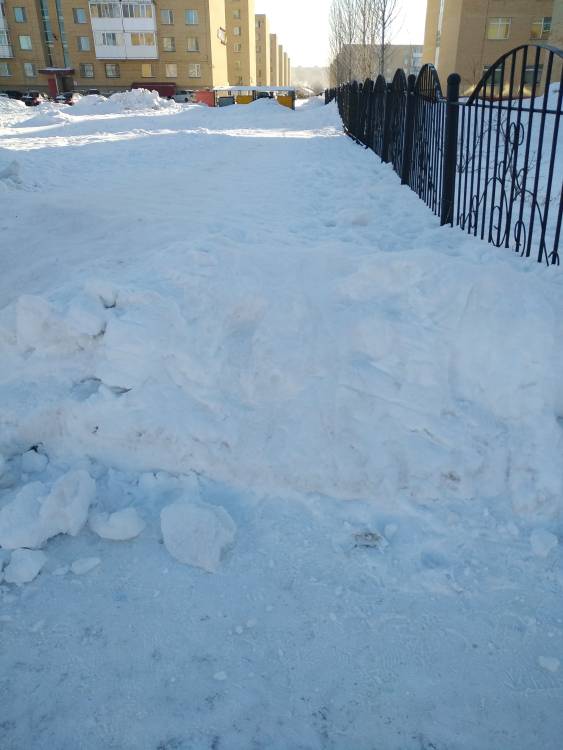 29 января ещё подавала заявку почистить тротуар около школы 65 со стороны дома 18/3. Не возможно ходить дети падают ускорьте пожалуйста выполнение предыдущей заявки. 

Двор: снег и гололед во дворе